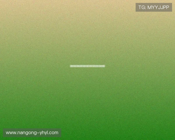 南宫壹号娱乐的客户服务体系与用户反馈机制优化策略